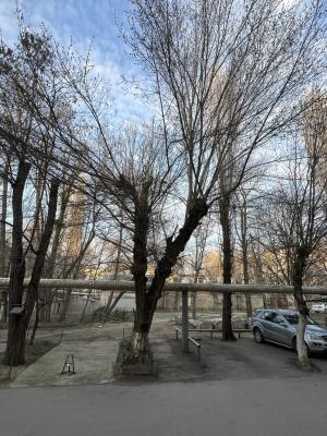 Прикрепленное изображение: photo_2024-03-03_17-48-24.jpg